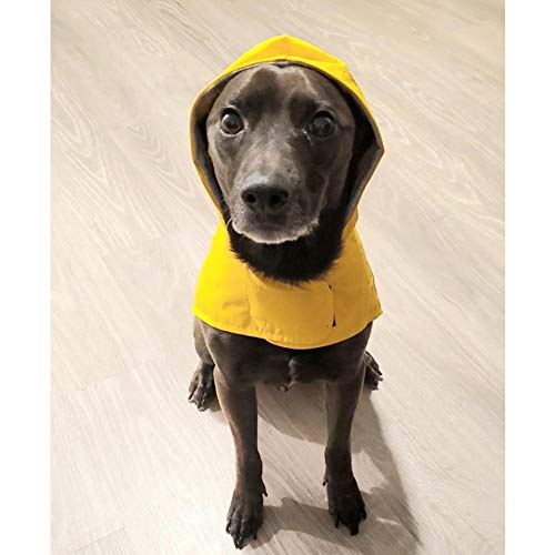 LeerKing Chubasquero para Perros Chaqueta Impermeable de Verano de Doble Capa Delgada y Transpirable con Correa de Ajuste con Capucha Resistente al Agua para Perros pequeños y medianos, Amarillo M