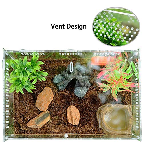 LEEWENYAN Caja de Alimentación de Insectos, 20X12X12cm Acrílico Transparente Estuche de Cría de Reptiles para Spide, Lagartija, Escorpión, Ciempiés, Rana cornuda, Escarabajo