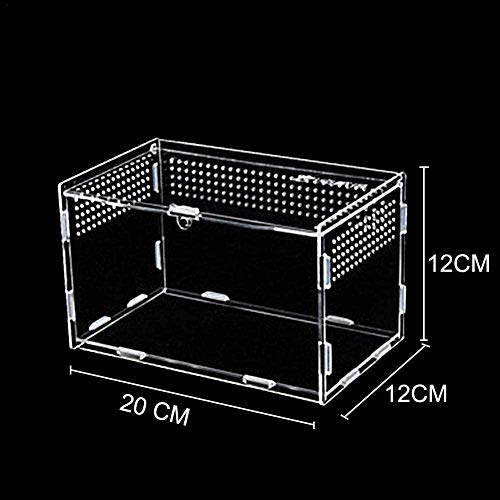 LEEWENYAN Caja de Alimentación de Insectos, 20X12X12cm Acrílico Transparente Estuche de Cría de Reptiles para Spide, Lagartija, Escorpión, Ciempiés, Rana cornuda, Escarabajo