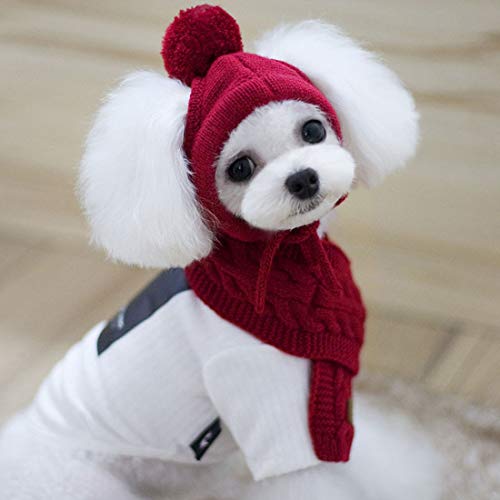 Levoberg Conjunto Gorro Bufanda Perro pañuelo de Punto para Animales Invierno estética