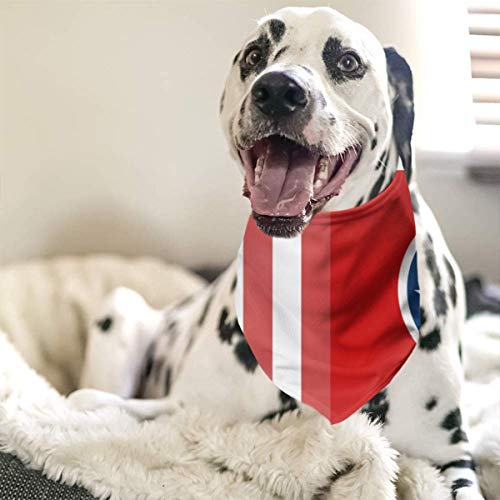 leyhjai Pow Dog Bandana Pet Triangle Scarf Pañuelo Set Accesorios para Gatos Mascotas Animales