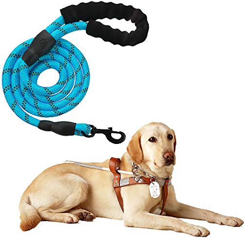 Litthing Correas para Perros Nylon con Mango Acolchado Ajustable Negro Sólido Reflectante 150 cm para Perros Grandes o Medianos Adecuado para Correr Senderismo Correr (Azul)