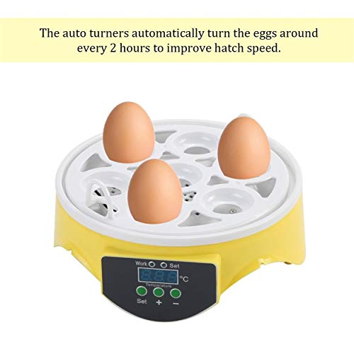 Lorenlli Capacidad de 7 Huevos Huevos de Pollo Incubadora de Aves Bandeja de Rack de Huevos Control Inteligente Automático Herramienta de Incubación de Loro de Codorniz