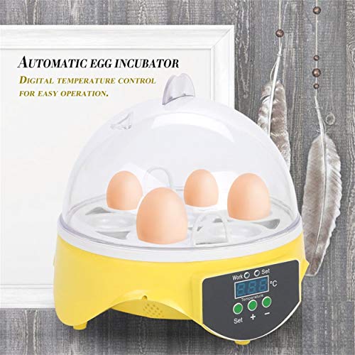 Lorenlli Capacidad de 7 Huevos Huevos de Pollo Incubadora de Aves Bandeja de Rack de Huevos Control Inteligente Automático Herramienta de Incubación de Loro de Codorniz