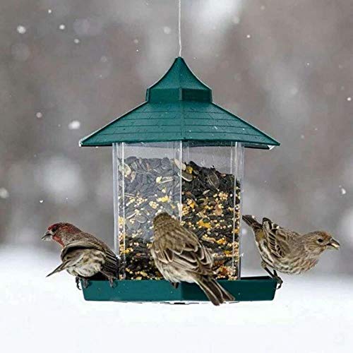 LTYD Green, pájaro, un contenedor de Tapa de Aves para Impermeables externas, Alimentos, Diamantes posición 6, una suspensión, más Ranuras, los contenedores de Granos, de Agua Potable, Corta.