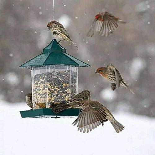 LTYD Green, pájaro, un contenedor de Tapa de Aves para Impermeables externas, Alimentos, Diamantes posición 6, una suspensión, más Ranuras, los contenedores de Granos, de Agua Potable, Corta.