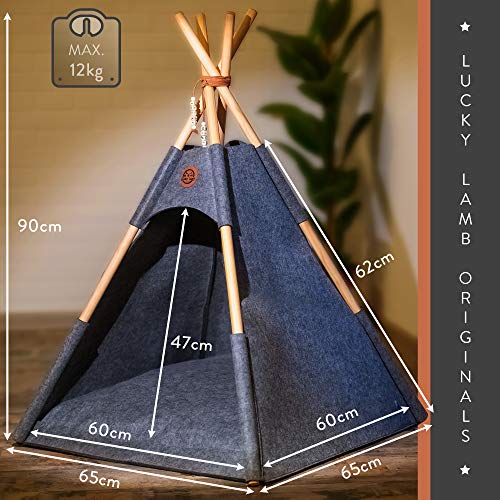 Lucky Lamb Tipi para Perros y Gatos, Tienda de Fieltro en 65 x 65 x 90 cm hasta 12 kg, Cama para Perros y Gatos en Antracita Gris, Incluye cojín + Perlas de Nombre Gratis