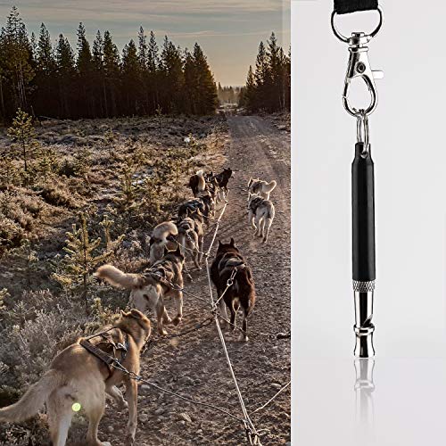 LUTER 2 Piezas Silbato de Perro - Ajustables para Entrenamiento de Perros y Control de Descortezos, Silbato Ultrasonidos de Perros con 2 Cuerdas - Negro