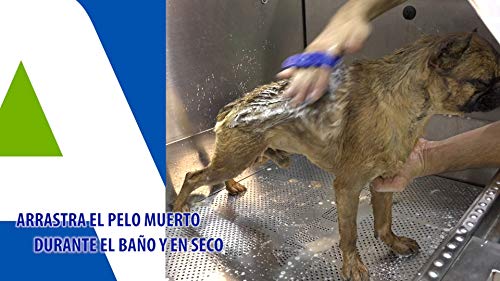 Manopla quitapelos para el baño de Perros y Gatos (Púa Extra Larga (Azul))