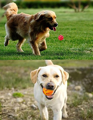 MansWill Juego de 2 pelotas para perro, cachorro de mascota, elástico, juguete para la limpieza de dientes, masticar, entrenamiento molar