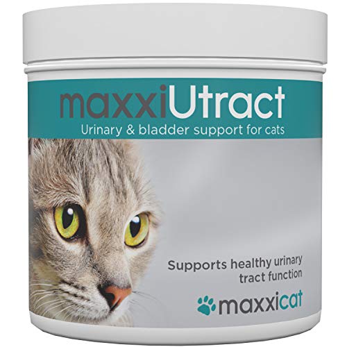 maxxicat - Suplemento Urinario y Vesical para Gatos maxxiUtract - Ayuda a la Salud del Sistema Urinario, al Control de la Vejiga y la Recurrencia de ITU - con Árándanos – En Polvo 60 g