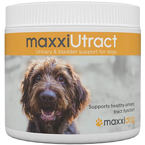 maxxidog - Suplemento Urinario y Vesical para Perros maxxiUtract - Ayuda a la Salud del Sistema Urinario, al Control de la Vejiga y la Recurrencia de ITU - con Árándanos – En Polvo 150 g