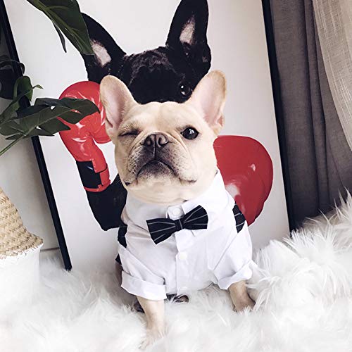 Meioro Ropa para Mascotas Camisa para Perros Perro Smoking Tie Bow Tie Shirt Adecuado para el Banquete de Boda Bulldog francés Bulldog Pug (XXL, Camisa de Pajarita)