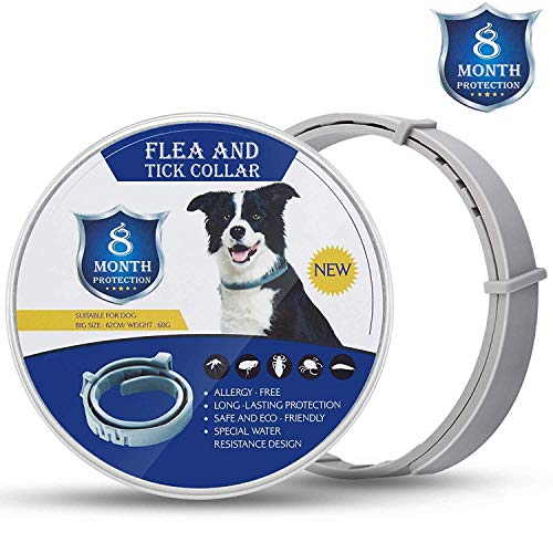 MENGZF Collar Antiparasitos para Perros y Gatos,62cm contra Pulgas,Collares Antipulgas y Garrapatas Garrapatas y MosquitosTamaño Ajustable e Impermeable para Mascota Pequeño Mediano Grandes