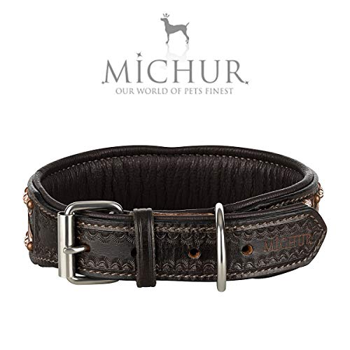 MICHUR Joris Collar de Perro de Cuero, Collar de Perro de Cuero, Collar, Cuoio, Marrón Oscuro con Remaches y guijarros Redondos, Disponible en Varios tamaños, Collar Cuero