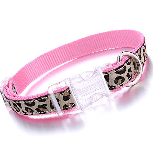 Mile High Life Collar de Perro, arnés y Correa de Alta Vida, diseño de Leopardo, Accesorio pasear a su Perro