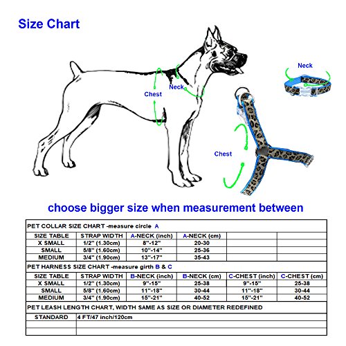 Mile High Life Collar de Perro, arnés y Correa de Alta Vida, diseño de Leopardo, Accesorio pasear a su Perro
