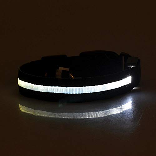 MMWW per cani da compagnia in Nylon LED collare per cani da compagnia Sicurezza notturna Collari per bagliore lampeggiante persi Forniture per cani 7 Colori SML XL Taglia-Bianco_ (35-43) x2,5 cm