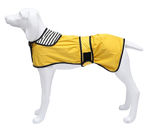 Morezi Chaleco Impermeable Perro con Barra Reflectante, Resistente a la Lluvia/Agua, Chaleco Ajustable – Chaleco Impermeable para Perros Galgos, lecheros y látigos