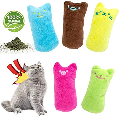 MOULLY 5PCS Hierba Gatera Juguete, Juguetes del Catnip + 10Pcs Palitos de Catnip, Palitos De Hierba Gatera 100% orgánico Natural, Protección del Cuidado Dental, Adecuado Juguete para Gatos de Interior