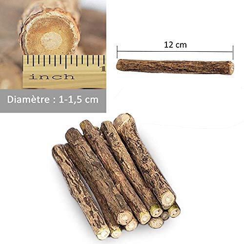 MOULLY 5PCS Hierba Gatera Juguete, Juguetes del Catnip + 10Pcs Palitos de Catnip, Palitos De Hierba Gatera 100% orgánico Natural, Protección del Cuidado Dental, Adecuado Juguete para Gatos de Interior