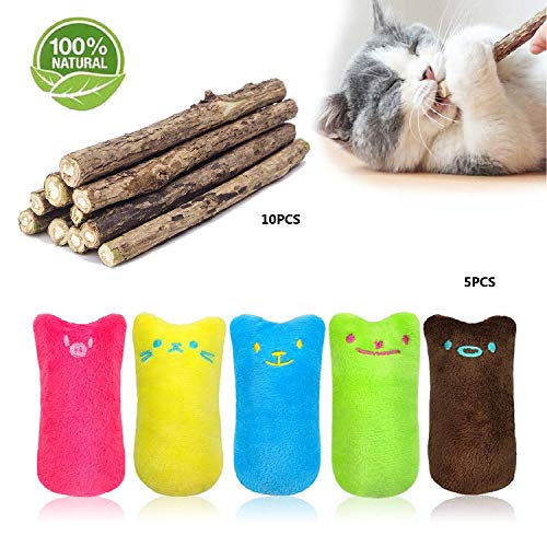 MOULLY 5PCS Hierba Gatera Juguete, Juguetes del Catnip + 10Pcs Palitos de Catnip, Palitos De Hierba Gatera 100% orgánico Natural, Protección del Cuidado Dental, Adecuado Juguete para Gatos de Interior