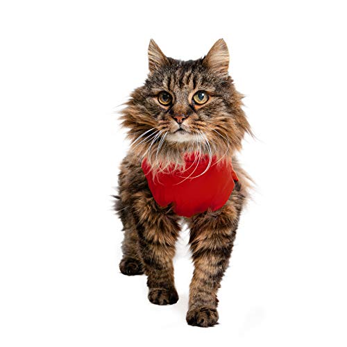 MPS Medical Pet Shirt, Katze, Rot, für Extra Kleine Katzen