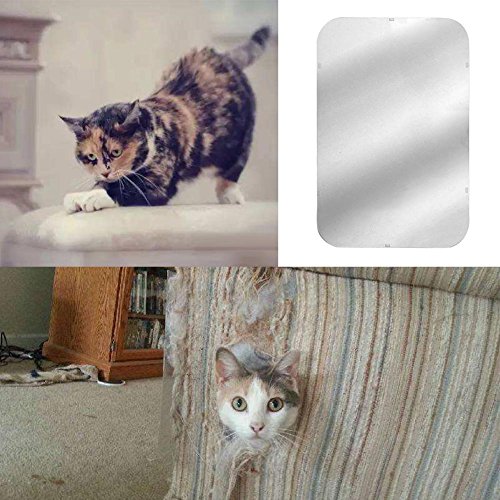 Mr Cat Scratch Muebles Cat, 2 Pack borrar Premium Duty Flexible Vinilo para Animal doméstico Protège sofá Guardias, Discreto Cat Scratch Muebles Protector, Afin de Proteger la Ameublement, Les MURS