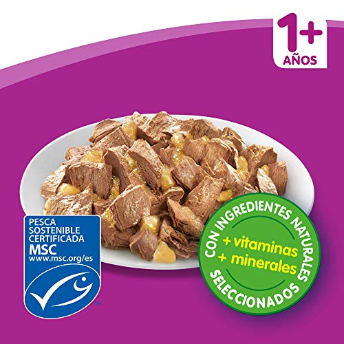 Multipack de 12 bolsitas de 100g de selección de pescados para gatos adultos (Pack de 4)