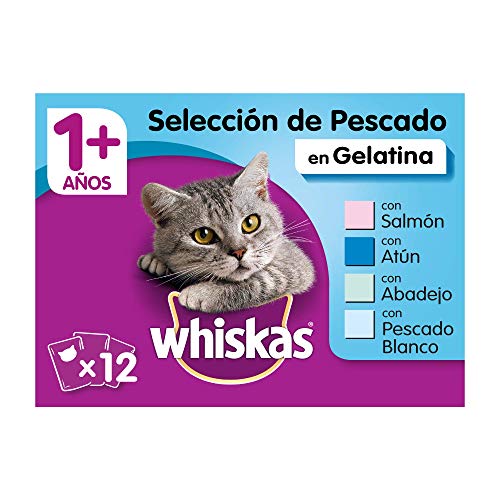 Multipack de 12 bolsitas de 100g de selección de pescados para gatos adultos (Pack de 4)