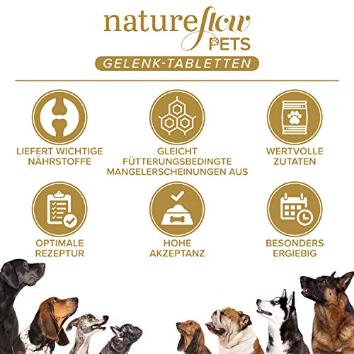 Natureflow Suplemento para articulaciones de los Perros con mejillón de Labio Verde, MSM y Garra del Diablo - Alta digestibilidad - 100 Pastillas suficientes para 6 Meses - Condroprotector