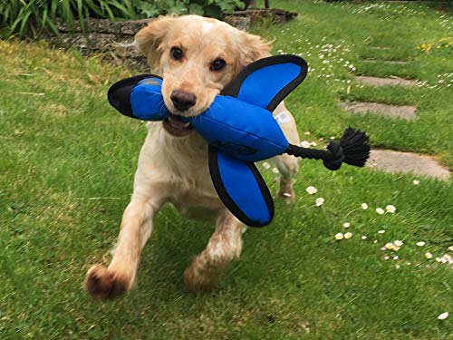 Nerf Juguete de rastreo para Perro