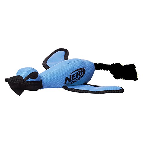 Nerf Juguete de rastreo para Perro