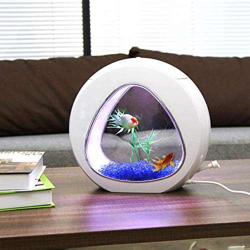 Nobleza - Acuario pecera de diseño Moderno con Ventana de Cristal y luz LED, Color Blanco. Capacidad de 4L