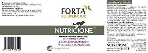 Nutricione Suplemento Forta Recuperador 60 Comprimidos