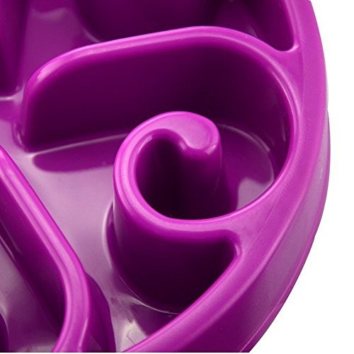 OFKPO Perro alimentador alimentación Lenta Pet Bowl - Saludable diseño Bol para Perro de Mascota, Reducir significativamente la Velocidad de Comer Perro