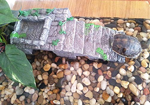 OMEM - Caja de cría para Reptiles, Refugio, hábitat, decoración, terrario, Tortuga, rampa, Cuenco de Agua, humidificador y Cuevas de escondite