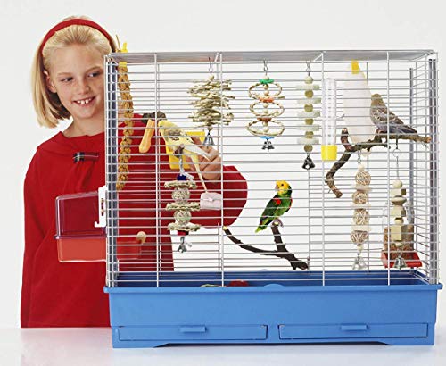 onebarleycorn – Juego de 7 Juguetes para Pájaros Columpio para Loros Accesorios Madera Natural Jaula Pajaros Bite Toy con Campanas para Periquitos Cockatiels Cacatúas Conures Pinzones Agapornis