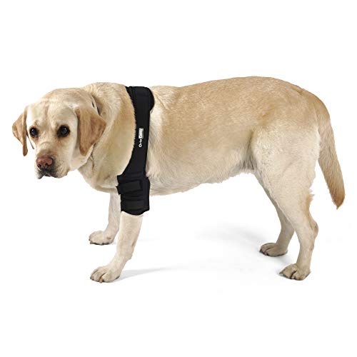 Ortocanis - Protector de Codo para Perros con artrosis, Lesiones, hygromas, Bursitis - 4 Tallas - Color Negro (M - Derecho)