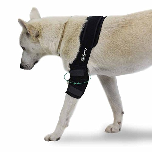 Ortocanis - Protector de Codo para Perros con artrosis, Lesiones, hygromas, Bursitis - 4 Tallas - Color Negro (M - Derecho)