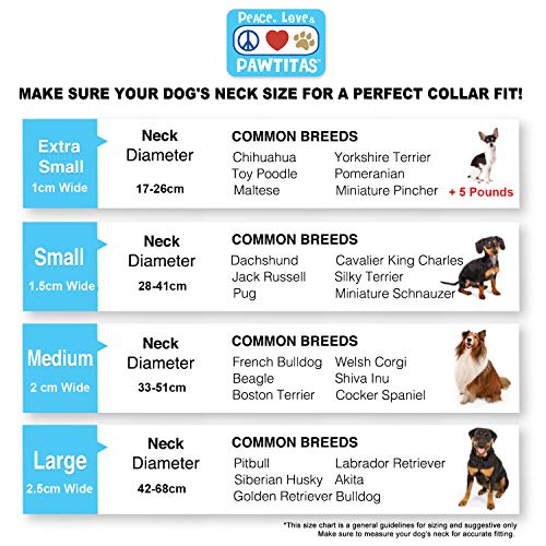 Pawtitas Collares para Perros Reflectante | Collar Perro y Cachorro Ajustable y Resistente | Collar para Perros Ideal para Entrenamiento | Collar para Perro Color Turquesa - Grande/Extra Grande