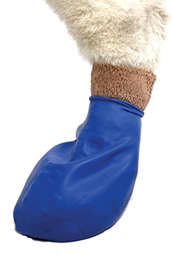 Pawz - Botas para Perro (12 Unidades), Color Azul