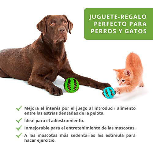 Pelota dental para perros y gatos 3 Uds, resistente, no tóxica. Juego de bolas interactivas dispensadoras de comida. Juguete de goma dura para masticar, limpiar los dientes, jugar, entrenar, adiestrar