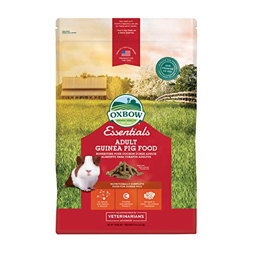 Petlife Oxbow Cavy Cocina Completa alimentación para Adultos Guinea Pig, 4,5 kg