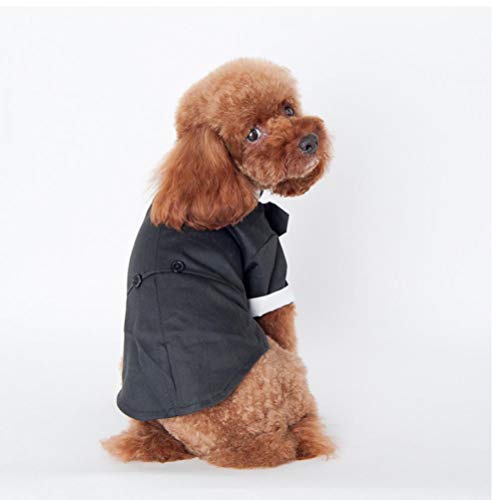 PiniceCore Perro Trajes El Perrito Ropa del Banquete de Boda del Perro casero del Smoking de la Pajarita del Animal doméstico del Perro Ropa para Perros Ropa Smoking Perro M