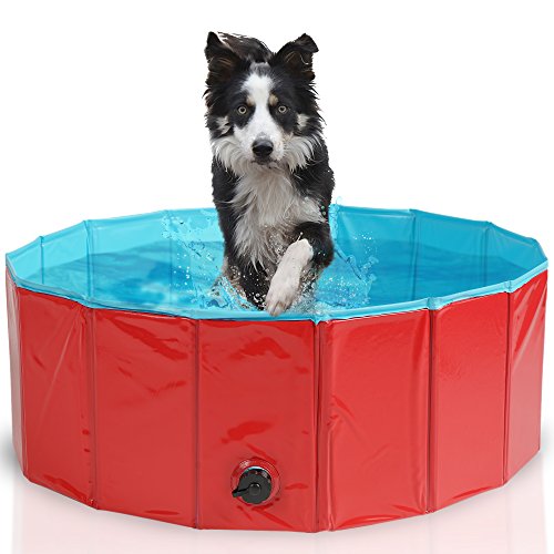 Premium Piscina para Mascotas Plegable 80x30CM - Multifuncional, Portátil, PVC Antideslizante - Bañera para Perros, Perrito, Gatos o como Piscina para Niños, Piscina de Bolas.