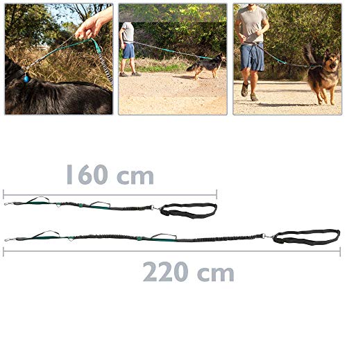 PrimeMatik - Correa Ajustable para Perros de Jogging 160-220 cm. Correa Manos Libres elástica y Reflectante con cinturón