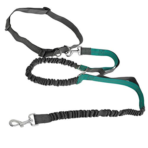 PrimeMatik - Correa Ajustable para Perros de Jogging 160-220 cm. Correa Manos Libres elástica y Reflectante con cinturón