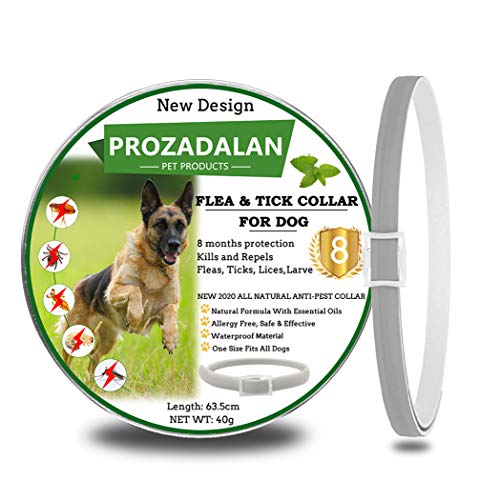 PROZADALAN Nuevo Diseño - Collares Antiparasitario para Perros, Eficaz Collar Antiparasitos Perros contra Pulgas y Garrapatas, 63cm Ajustable e Impermeable para Mascotas Pequeñas, Medianas y Grandes