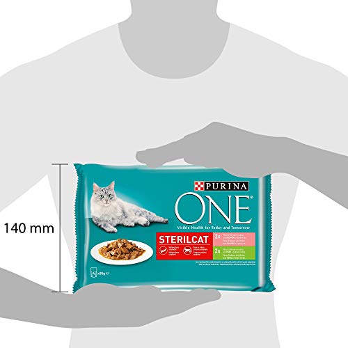 Purina ONE comida húmeda para gato esterilizados filetes en salsa con variedad de salmón y pavo 12 x [4 x 85 g]